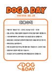 도그앤데이 애견유치원 애견호텔
