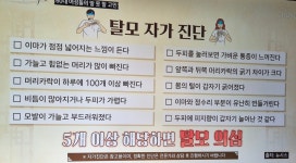 엘샤론 올멋 착한머리염색방 | 엘샤론염색&두피관리
