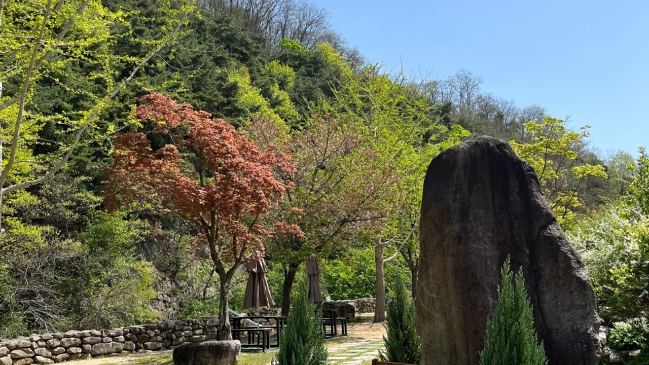 카페우즈 woods