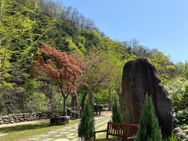 카페우즈 woods