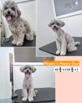 아롱이다롱이