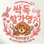 싹독할가영
