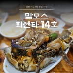 맘모스회센타14호