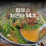 맘모스회센타14호