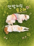 댕겨올개 애견유치원 & 애견호텔