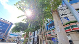 신라한의원