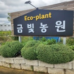 김포금빛농원