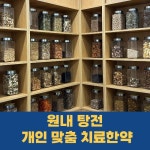 365정석한의원