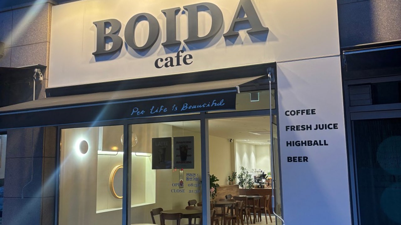 BOIDA
