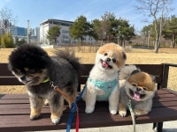 오늘도뽀송