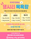 댕시티 애견유치원 호텔링