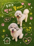 댕겨올개 애견유치원 & 애견호텔