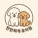 탄탄하개 애견유치원