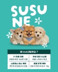 애견미용호텔 슈슈네