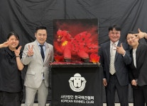 안산 크라운애견미용학원