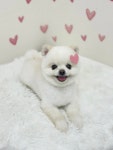 멍살롱