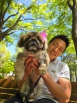 댕겨올개 애견유치원 & 애견호텔