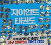 자이언트태권도