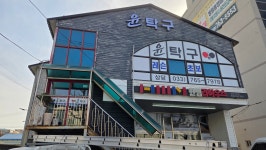윤탁구