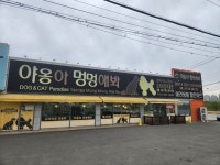 야옹아멍멍해봐 직산점