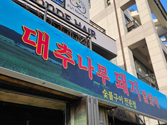 대추나무 돼지걸렸네
