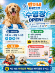 빵이네 애견미용실