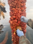 산과바다