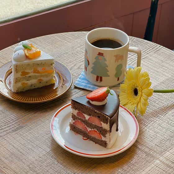아리에떼 사진