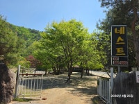 네스트캠핑장