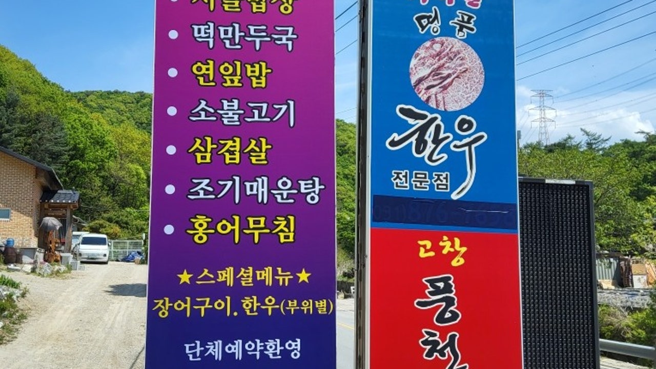 풍천장어