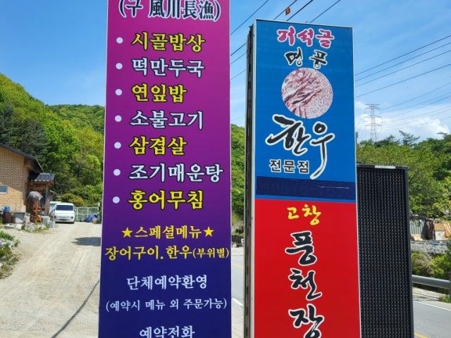 풍천장어