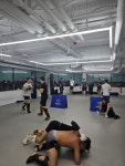 코리안탑팀 강서