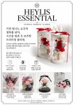 헤이리스에센셜