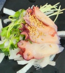 회바라기