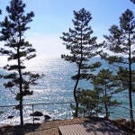SE클럽 태안둘레길캠핑장&펜션