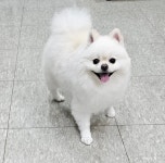 은별이네