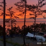 SE클럽 태안둘레길캠핑장&펜션