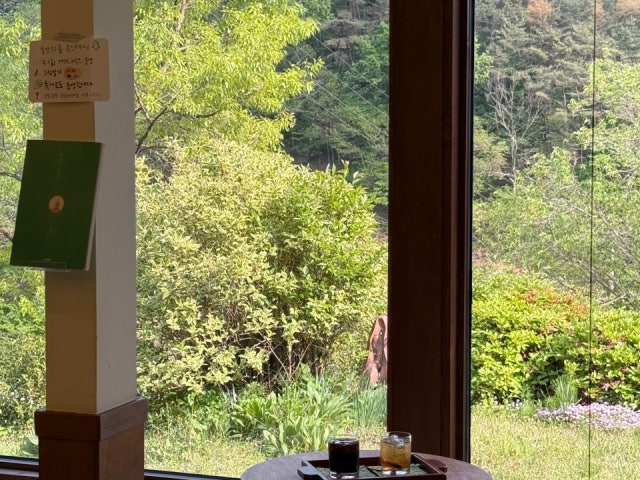 품안의숲