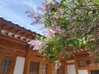 고금당