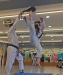 경무태권도