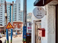 애견미용뭉샵