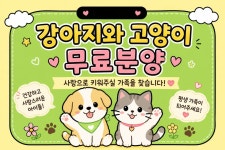 미앤유펫 강아지고양이 원주점