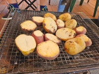 다육농가민박