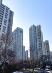 코오롱수목공인중개사사무소