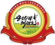 용인대승우태권도