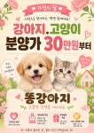 똥강아지 김해강아지분양 고양이분양