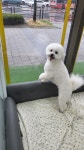 이쁘개 호텔