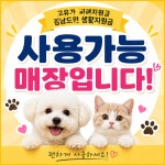 김해 강아지분양 고양이분양 베베몽