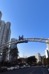 코오롱수목공인중개사사무소