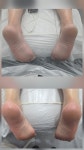 테라모나